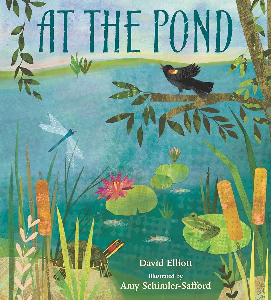 At the Pond (Paws, Fins, Feathers, Claws)