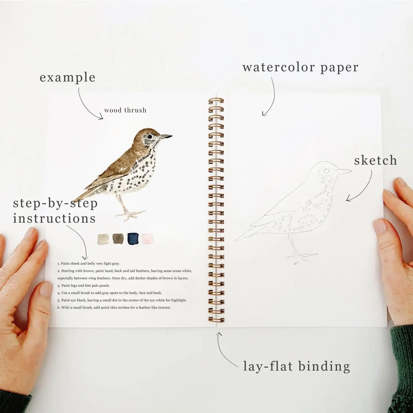 Birds Watercolor Workbook by Emily Lex Studio - Image 3